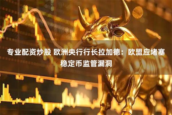 专业配资炒股 欧洲央行行长拉加德：欧盟应堵塞稳定币监管漏洞